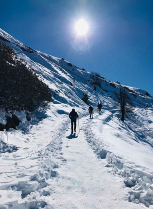 Untitled design - 2025-11-07T161515.406