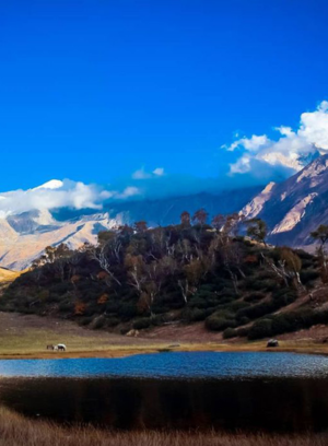 Untitled design - 2025-11-08T165129.358