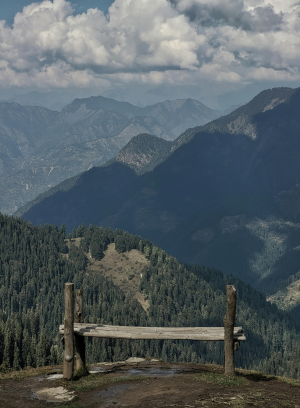 Untitled design - 2025-11-13T234251.471